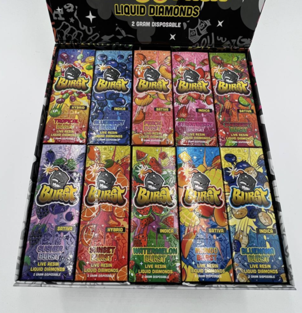 Burst 2 Gram Disposable (100 pack variety box)