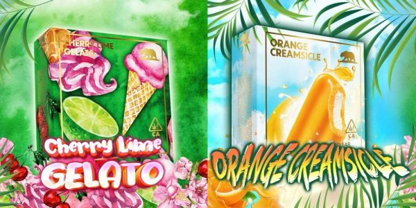 Gold Coast Clear Cherry Lime Gelato / Orange Creamsicle Summer Edition