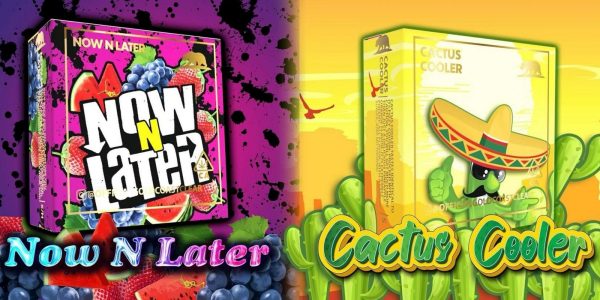 Now n Later / Cactus Cooler Summer Edition Gold Coast Clear Now n Later / Cactus Cooler Summer Edition
